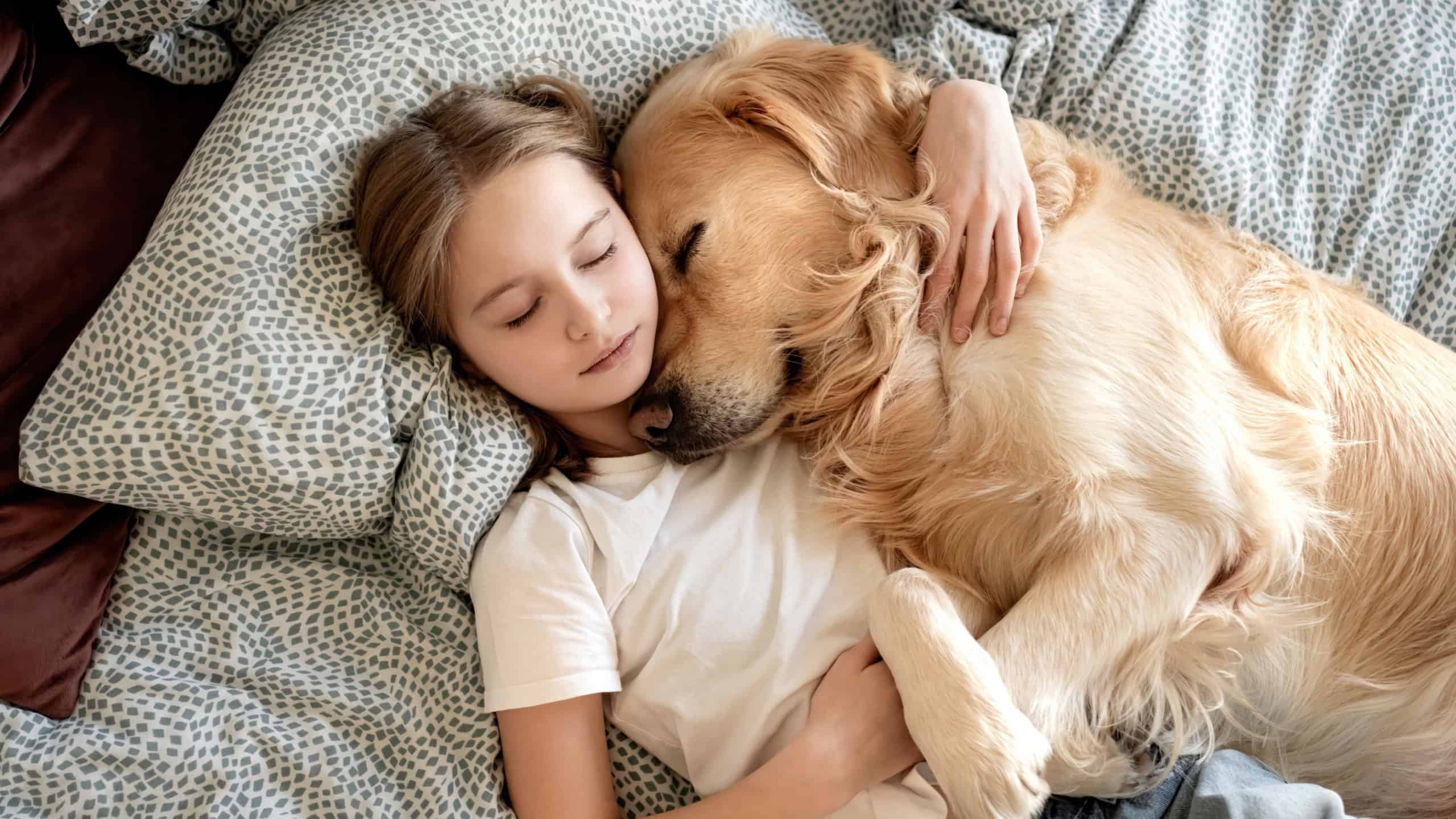 8 things dogs do when they sense something is wrong with you