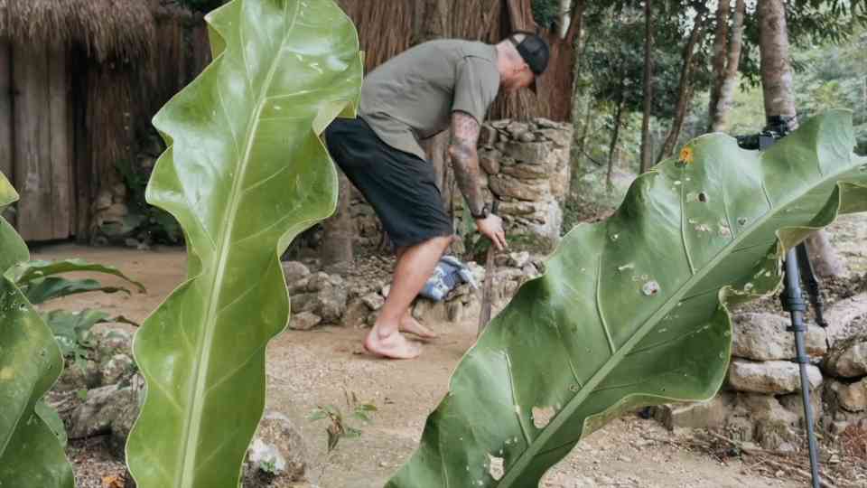 I took ayahuasca in the Amazon - then I saw something I can’t explain