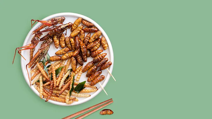 5 bugs you can eat (and their health benefits)