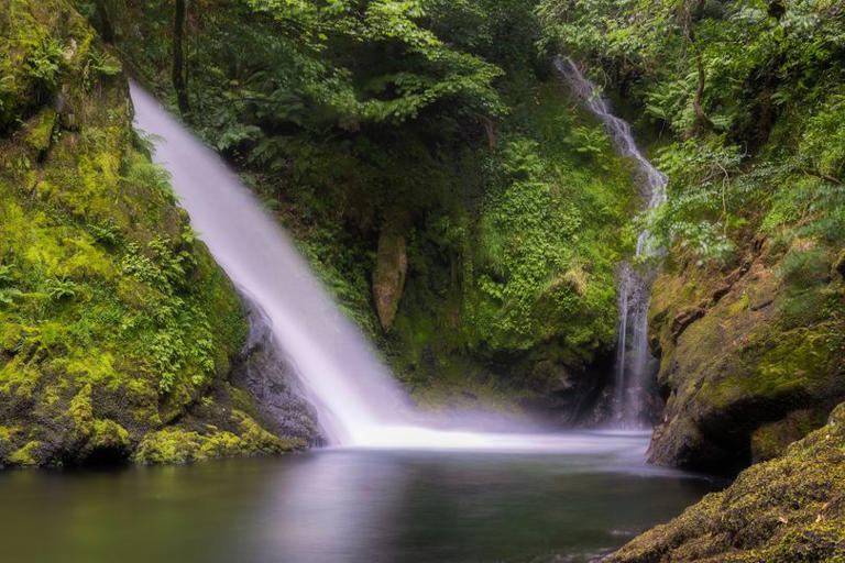 North Wales walking spot is so pretty it feels like you're in Bali