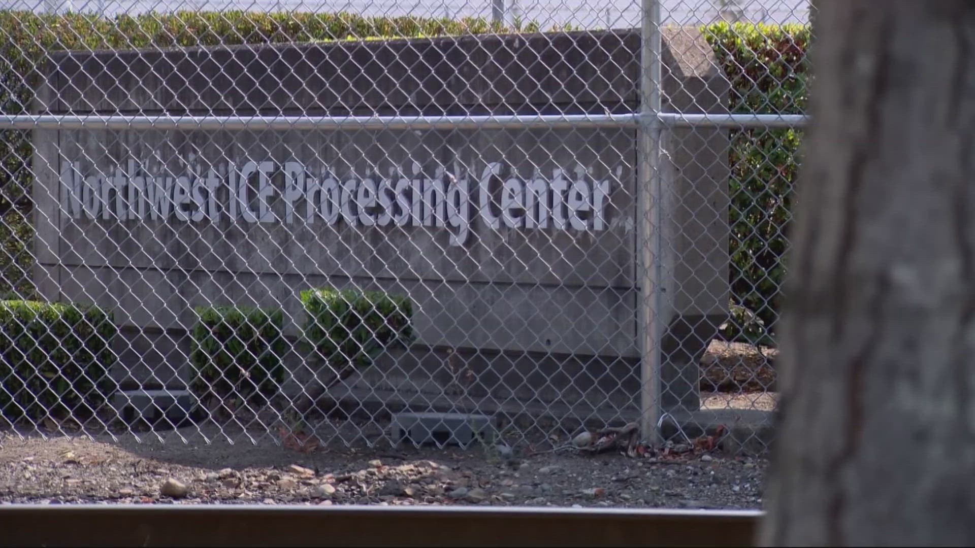 Judge orders release of Oregon woman detained by ICE for 8 months