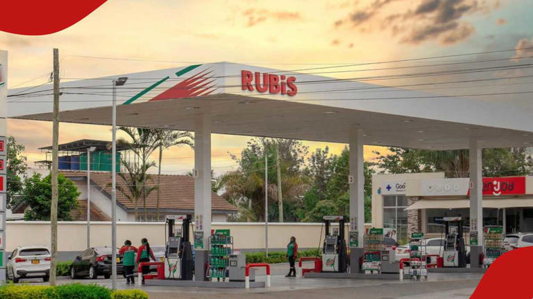 Govt proposes to cut fuel levy allocation by 50% in new bill to ease ...