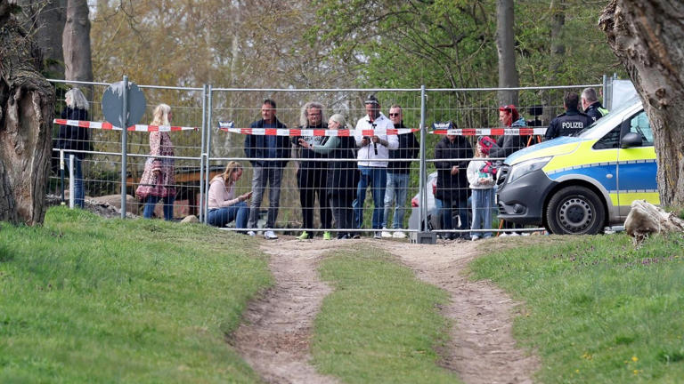 Ostsee-Wal Timmy – Berliner Meeresbiologin appelliert an „Mut zur ...