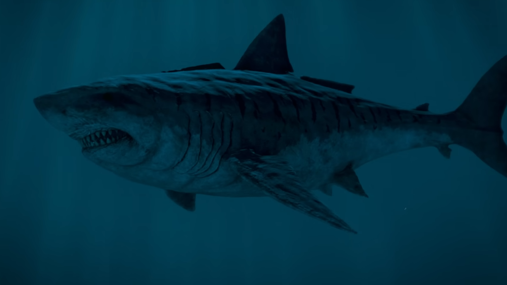 Megalodon reached 24 meters - and it wasn’t the shark we thought