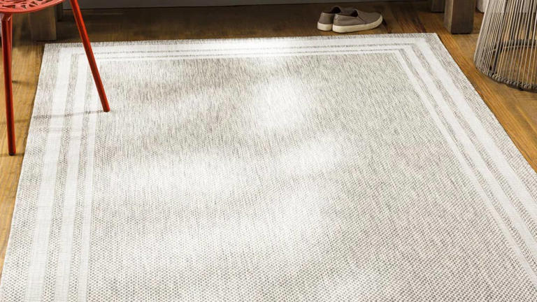 Wayfair's $50 rug: A stylish upgrade for your summer patio