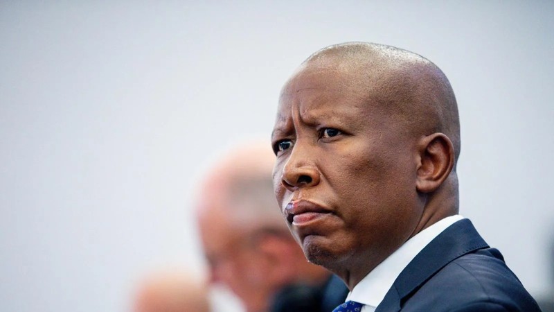 Court decides Julius Malema's fate