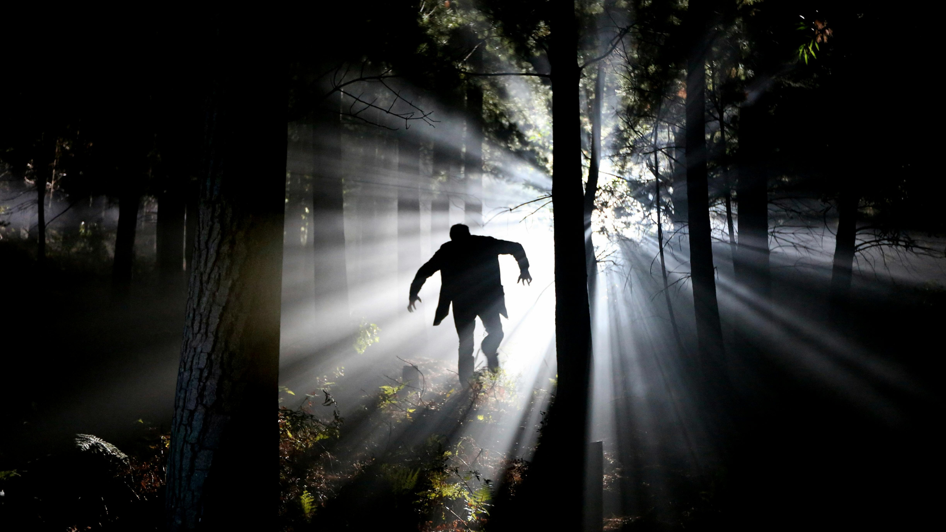 20 urban legends that turned out to be true