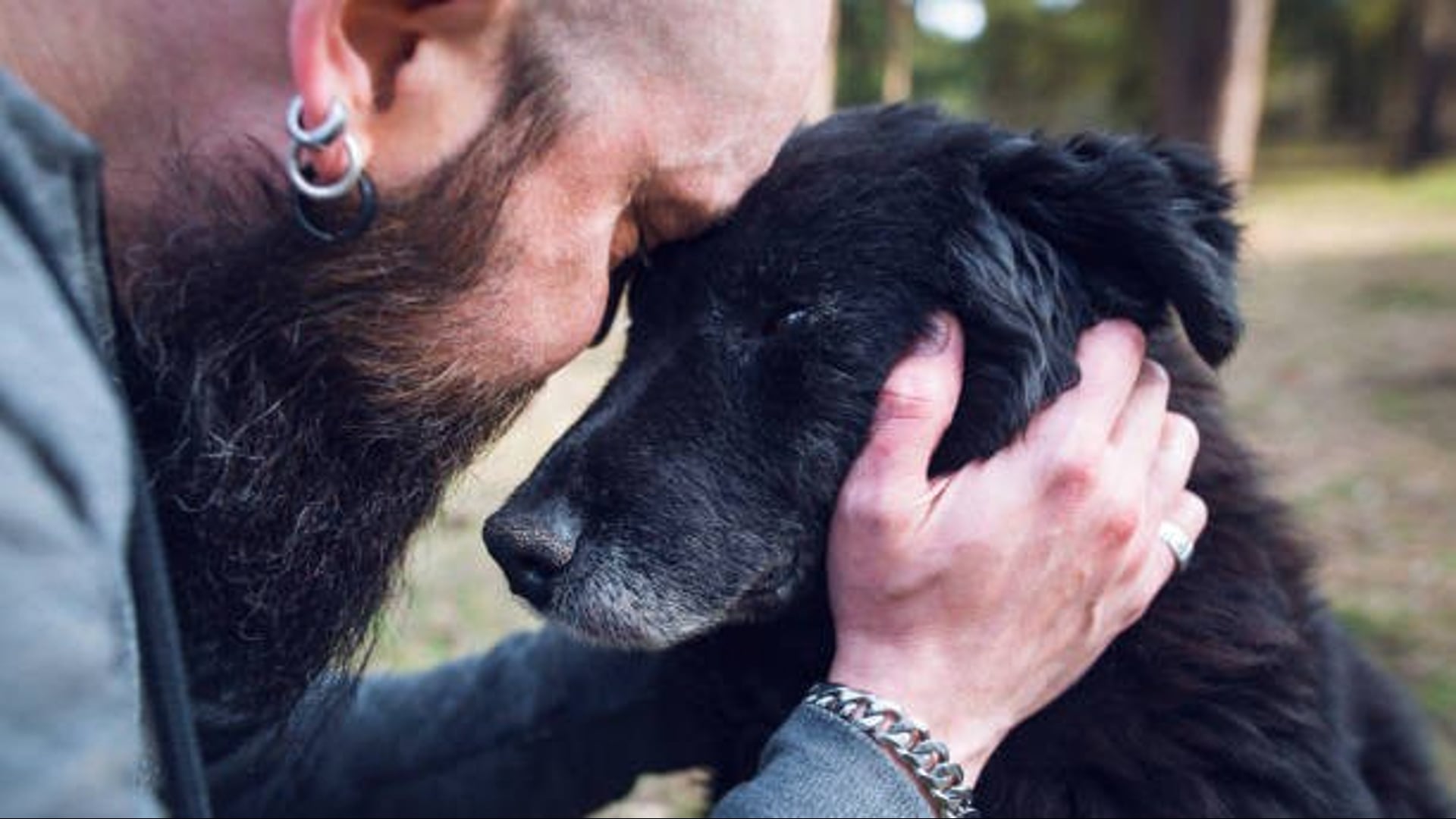 I cani versano lacrime di gioia quando si riuniscono con i loro padroni