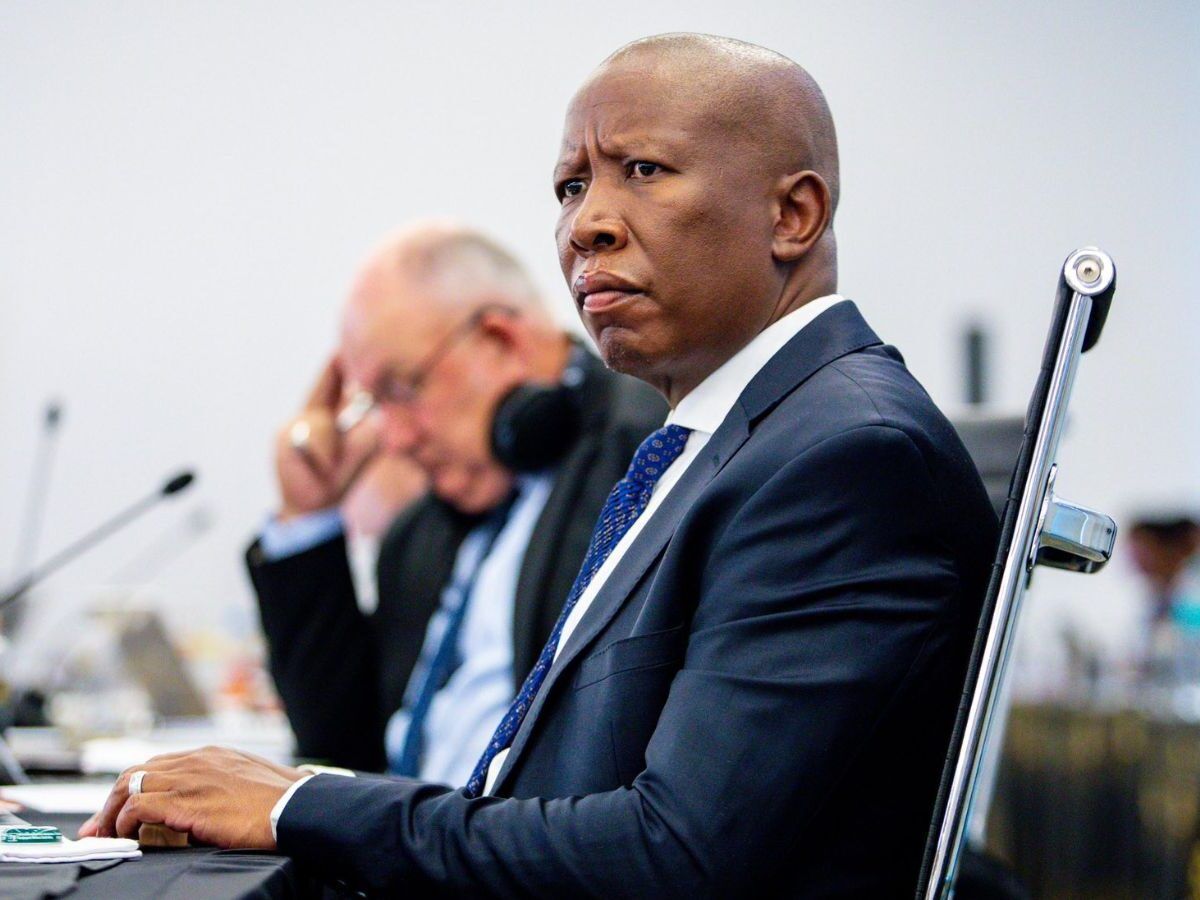 Breaking: Malema sentenced in firearm case