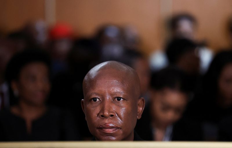 South African politician Malema given five-year prison sentence in ...
