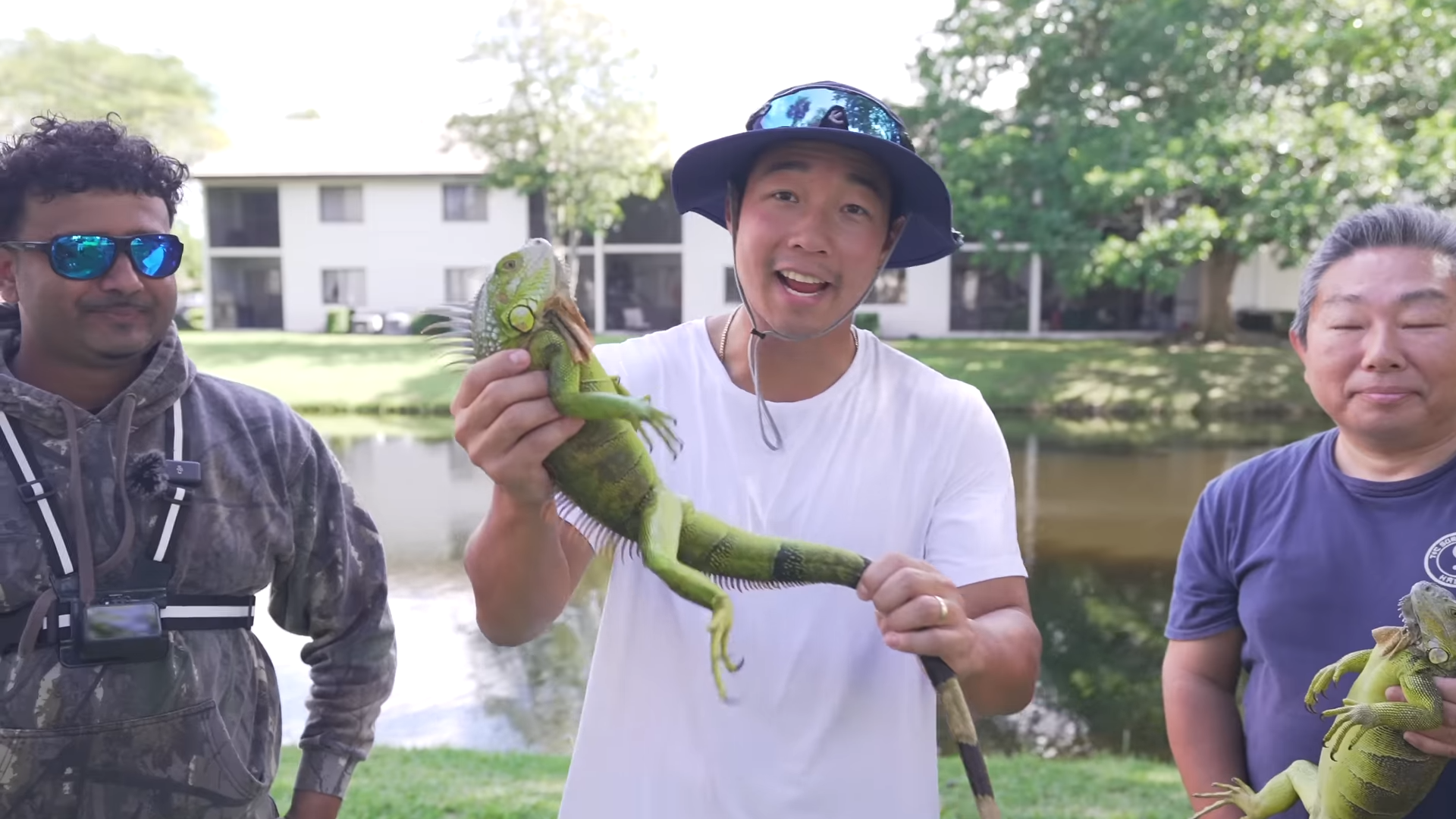 They caught invasive iguanas and turned them into sushi