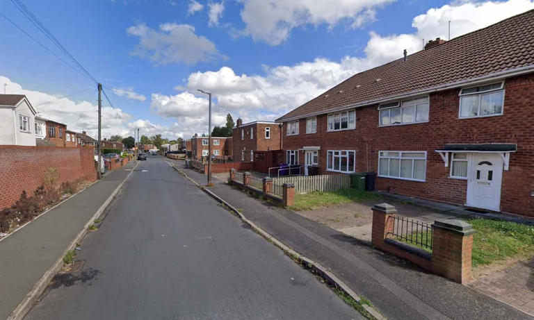 Woman in her 70s dies after being attacked by two dogs at house as ...