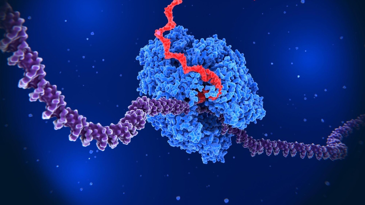 New AI tool aims to speed diagnosis of rare genetic diseases