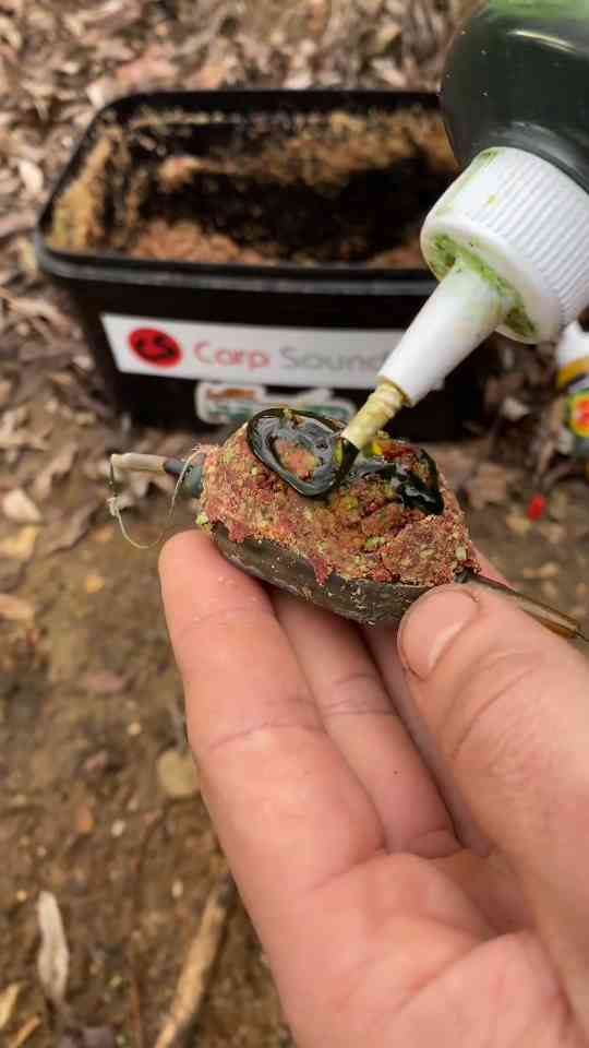 Why this carp rig montage stands out from the rest