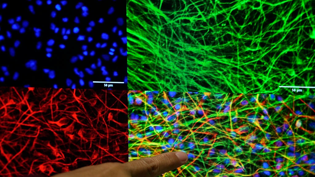 GABA secrets for calmer nights and better sleep