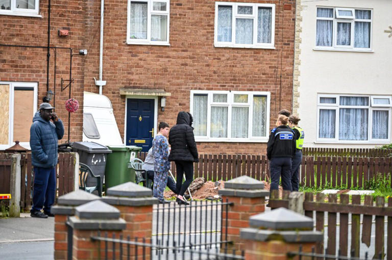 Woman, aged in her 70s, dies after being attacked by two dogs at house