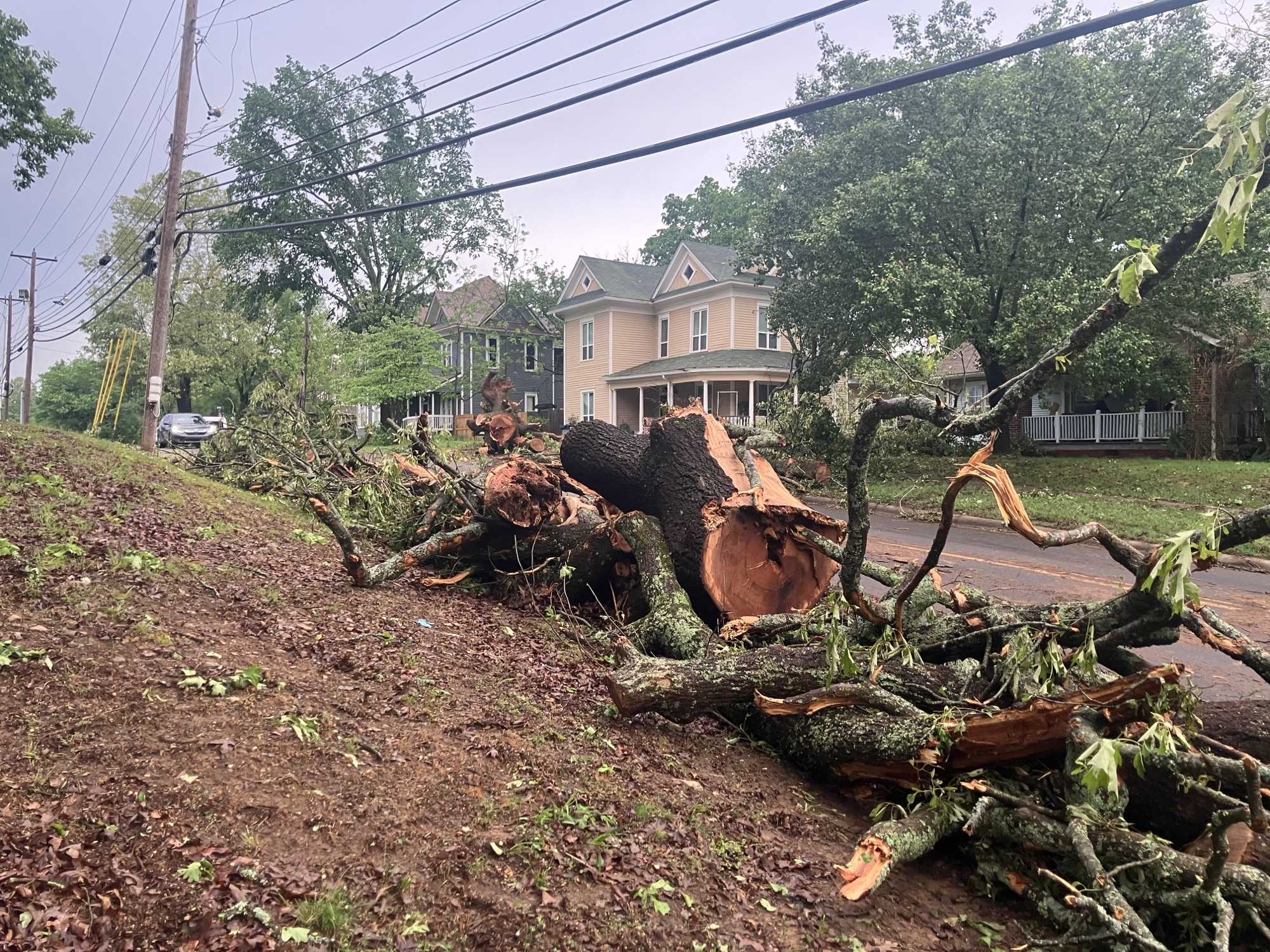Severe Weather Brings Down Trees, Cause Power Outages in Sebastian and ...