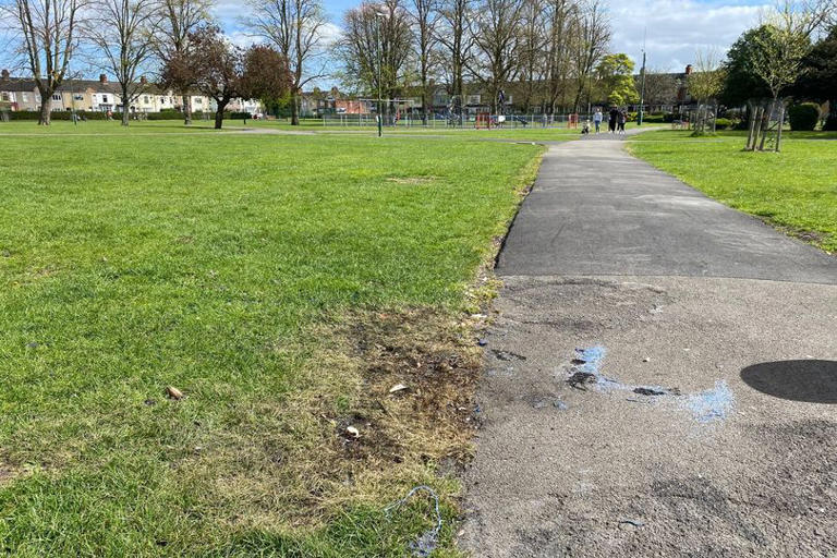 Wheelie bins fires in Grimsby park lead to calls for action