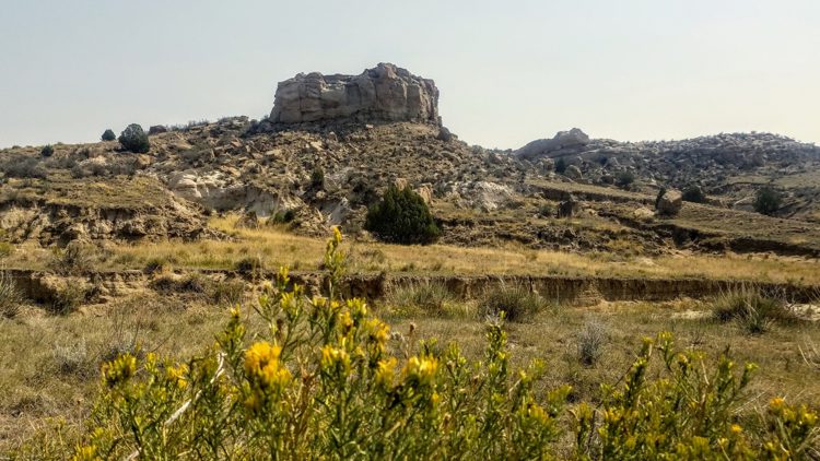Colorado Springs offers rare guided tours to sensitive fossil sites