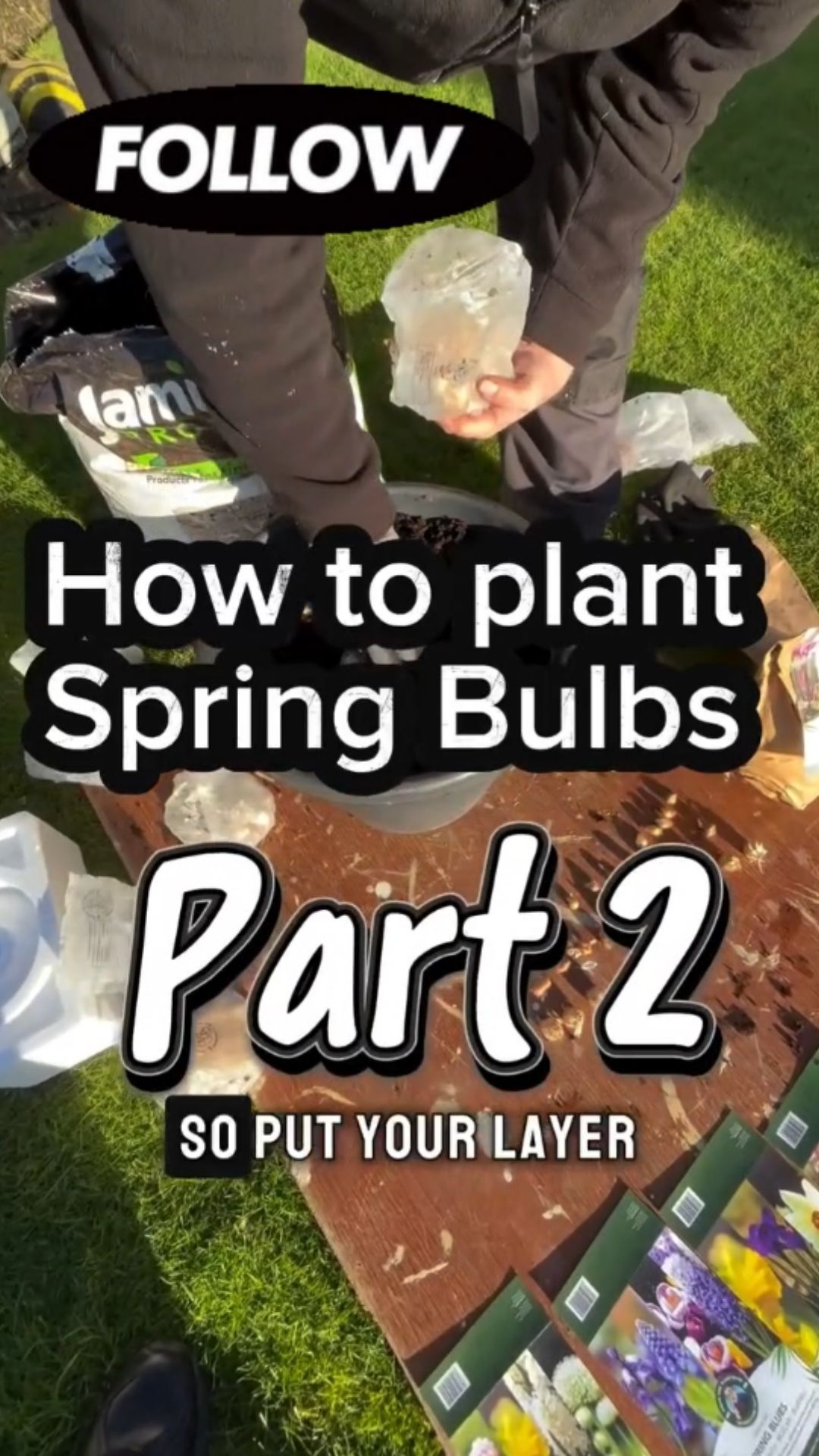 Spring bulbs part 2! Plant them the right way