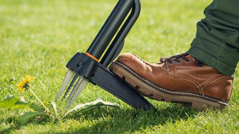 Home Depot is selling a heavy-duty weed puller tool for under $50