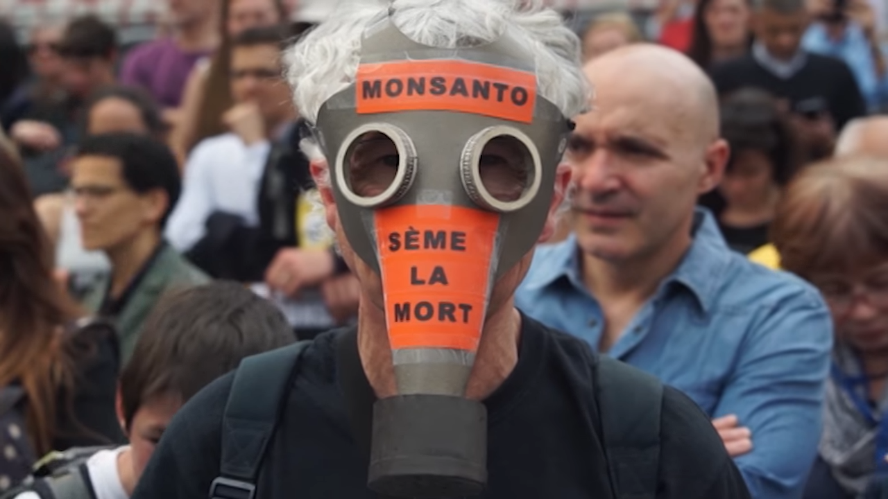 This food was genetically modified – and you eat it every day