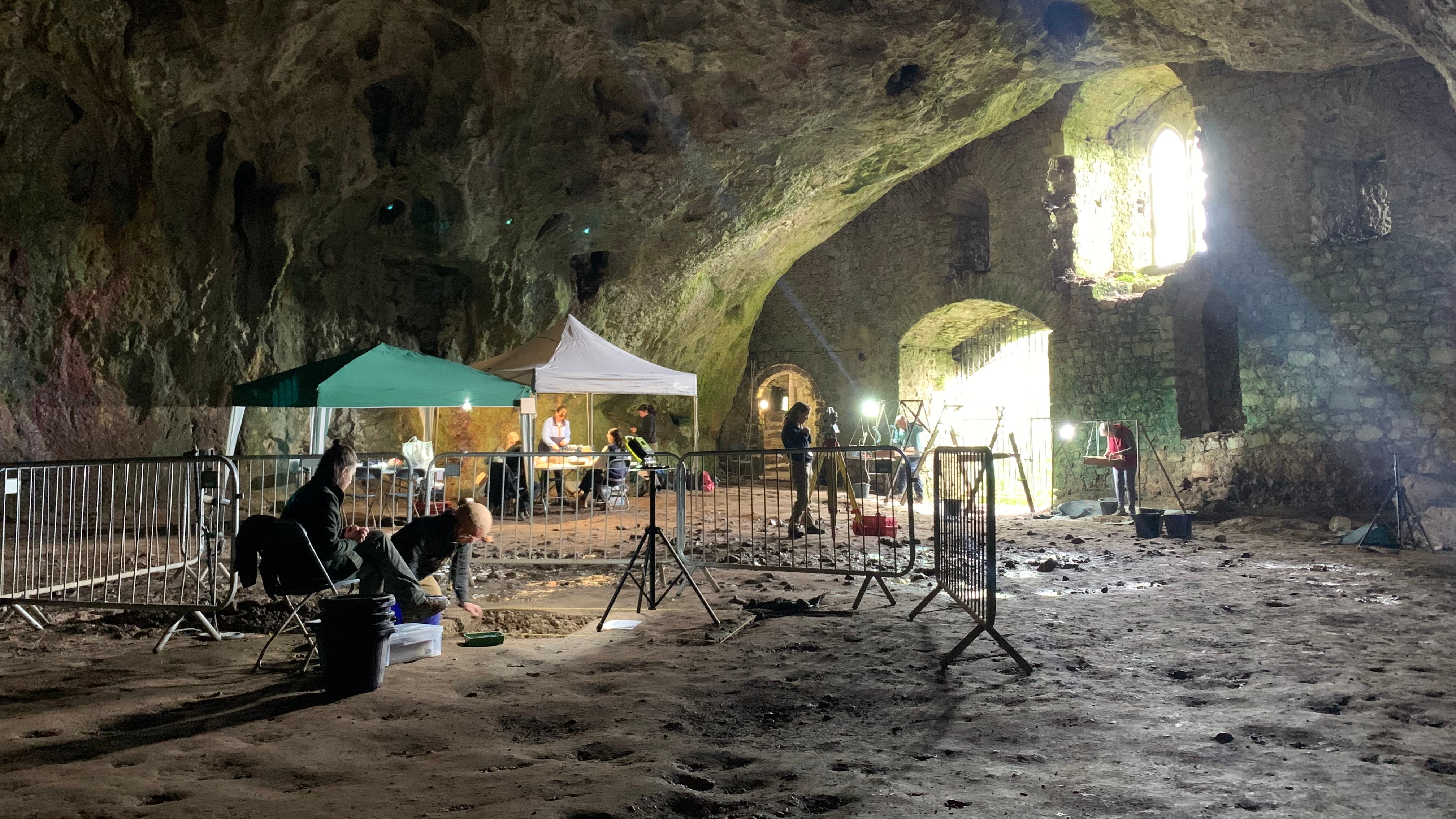 Further digs to take place at 'remarkable' cave once home to ancient hippo