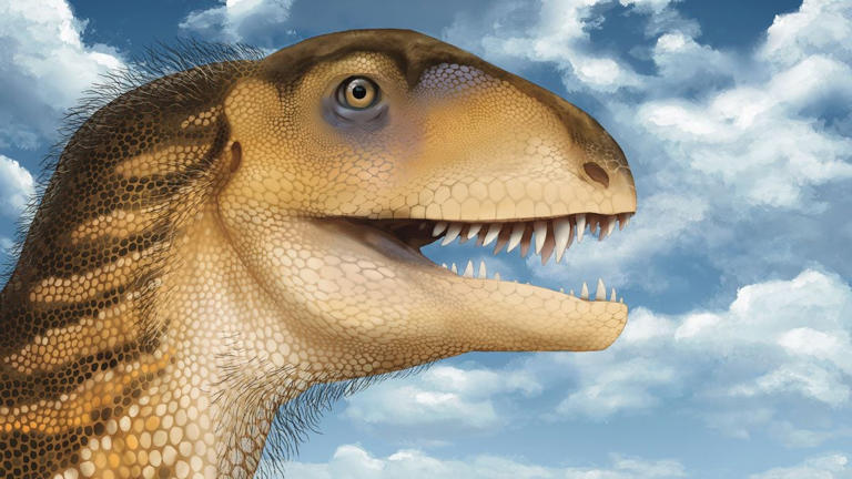 Student discovers new carnivore dinosaur 3x older than T rex