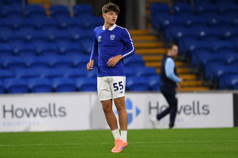 Eight Cardiff City players we could suddenly see a lot more of once ...