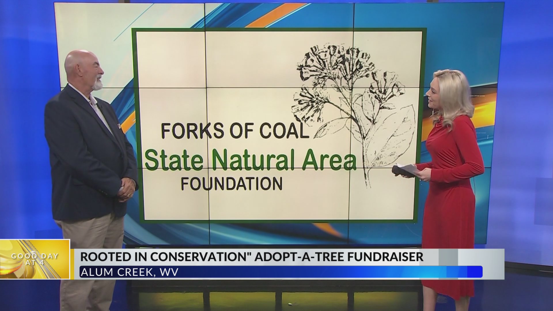 Adopt-a-Tree fundraiser at Forks of Coal in Alum Creek, WV