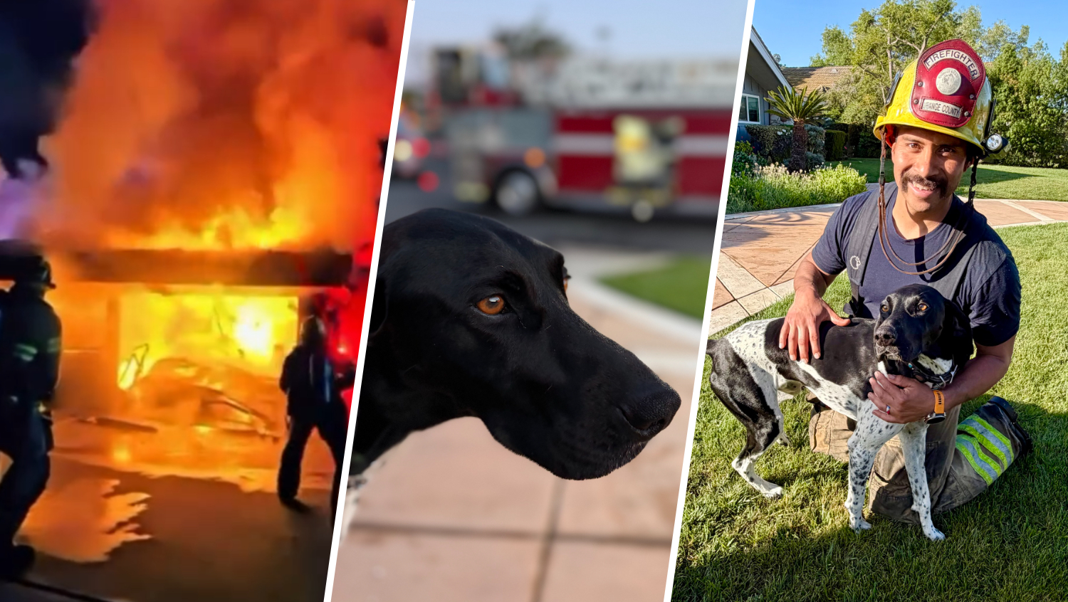 'Give this dog an award.' Pup warns family of garage fire at Orange ...