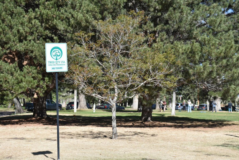 Pueblo named 2025 Tree City USA by Arbor Day Foundation