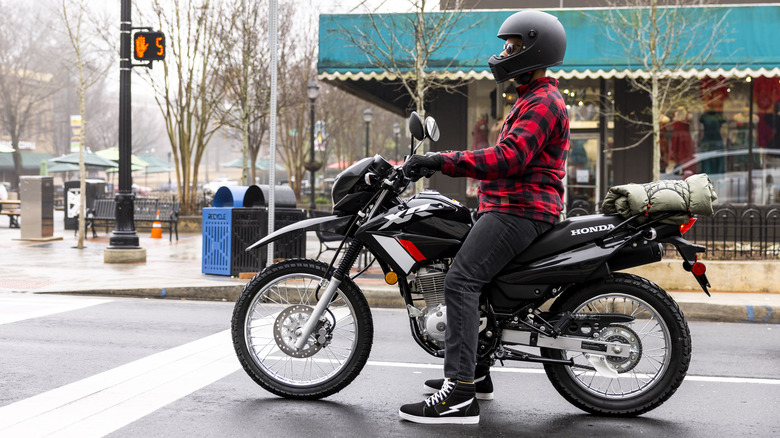5 of the best Honda motorcycles you can buy (that aren't sport bikes)