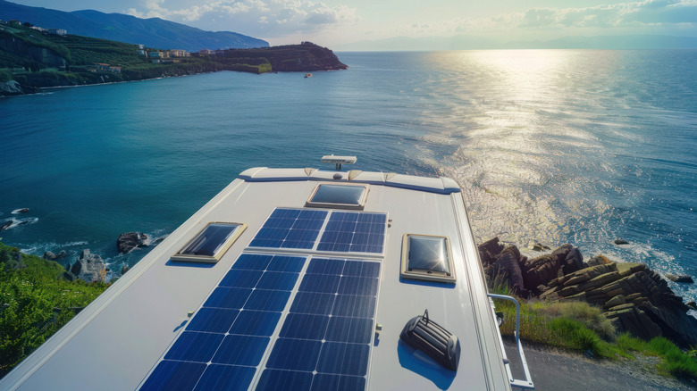 Why Do RVs Have Ladders To The Roof? Here's What They're For