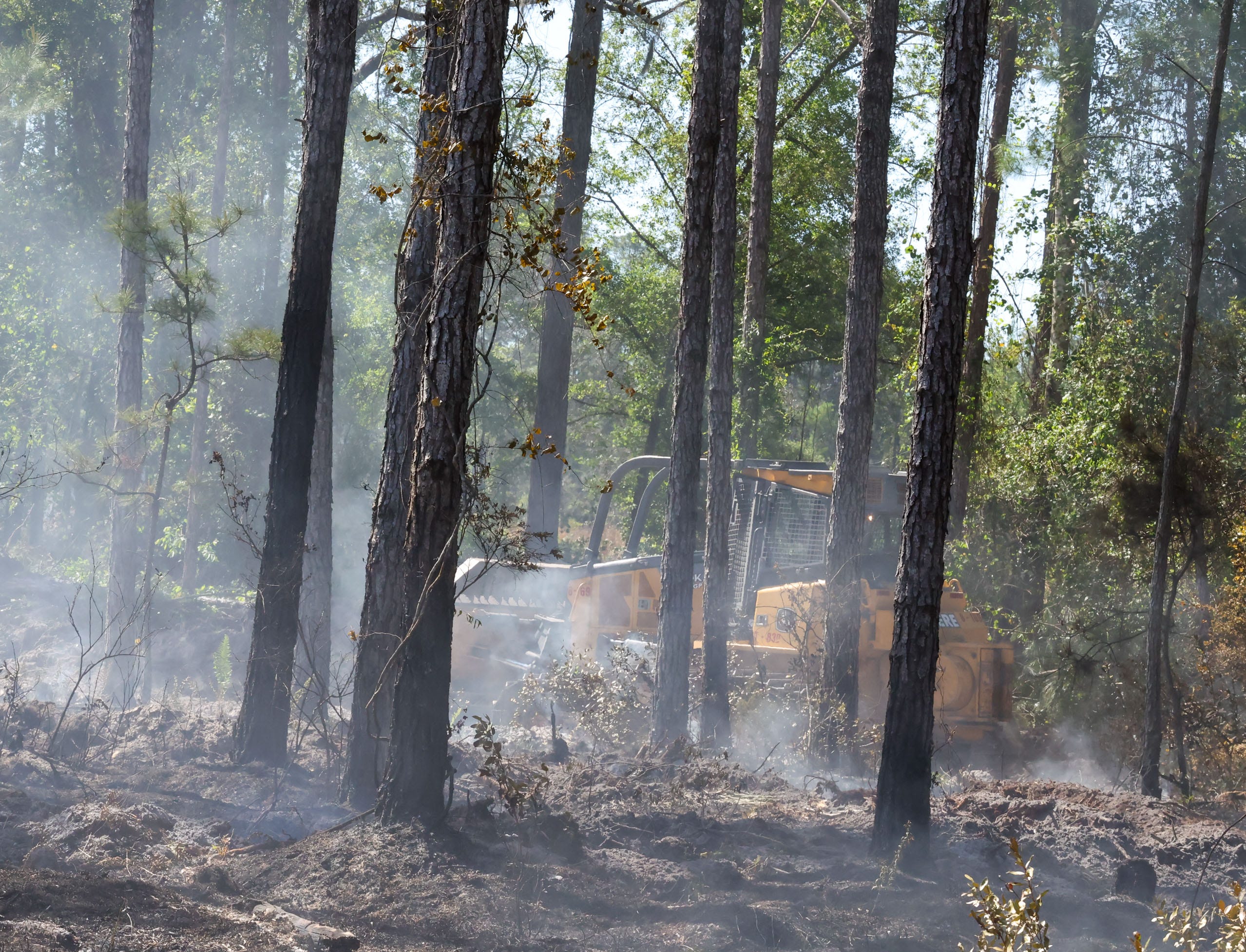 Florida is on fire as burn bans and windy conditions sweep the state