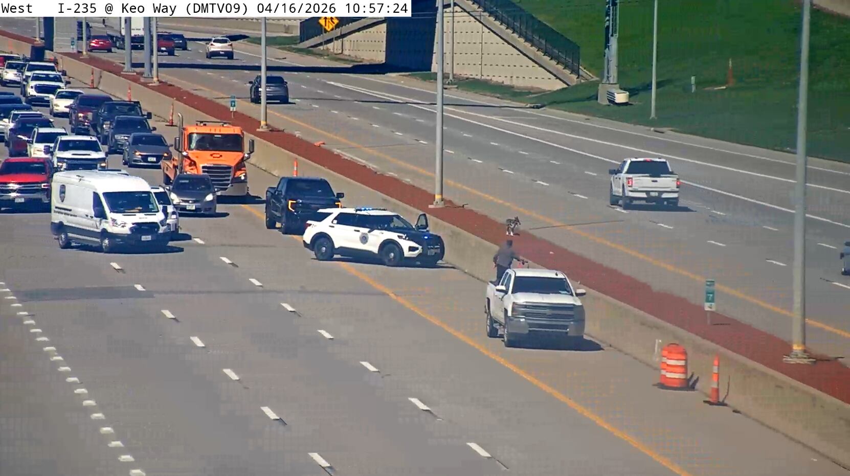 Dog leads police on chase across interstate in central Iowa
