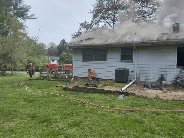 1 adult, 2 dogs displaced in Montgomery County house fire
