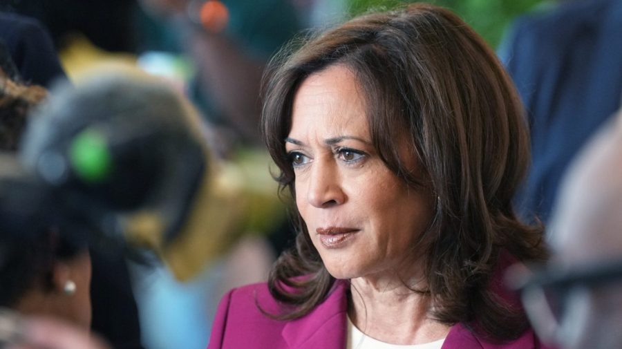 Harris hammers Trump over gas prices amid ‘war of choice’