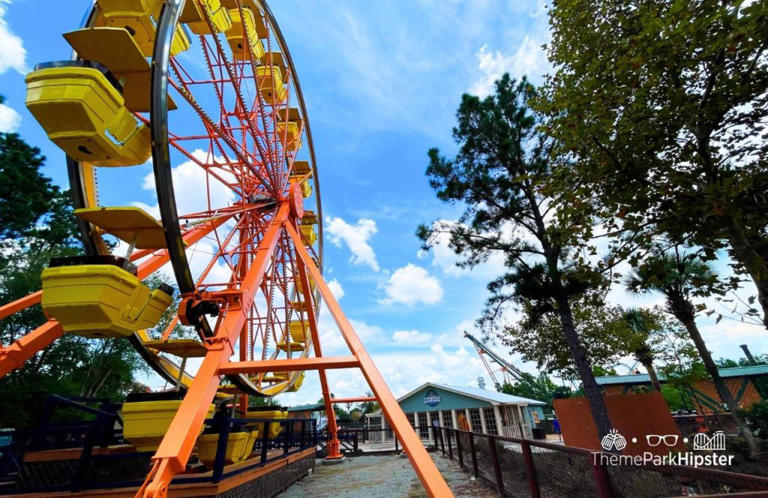 Wild Adventures turns 30 in 2026: Everything new you can’t miss this year!