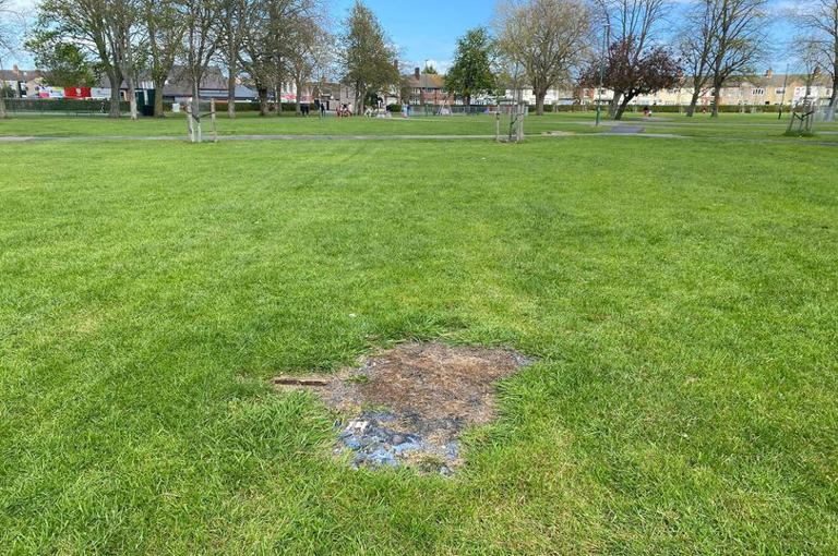 Wheelie bins fires in Grimsby park lead to calls for action