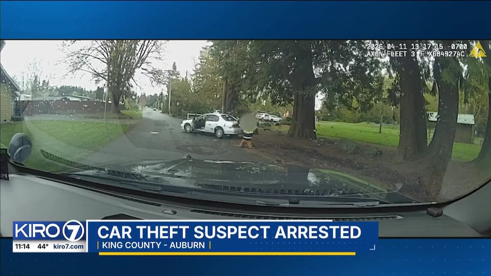 Video: Car theft suspect arrested after police chase in Auburn