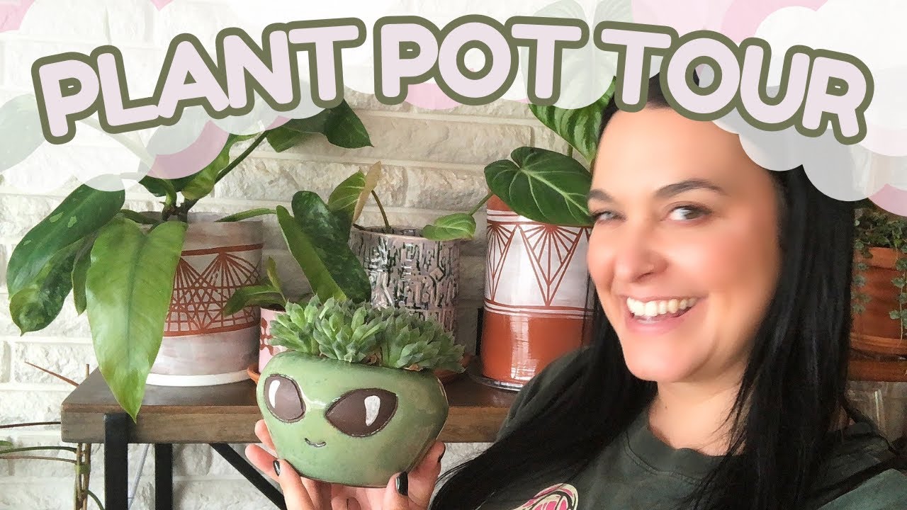 Plant pot tour: How to arrange indoor plants for a beautiful home setup
