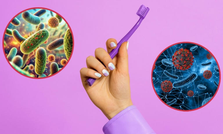 El cepillo de dientes puede ser un caldo de cultivo para las bacterias ...
