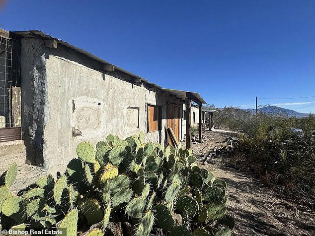 Former California boom town with population of just 30 begs for young ...
