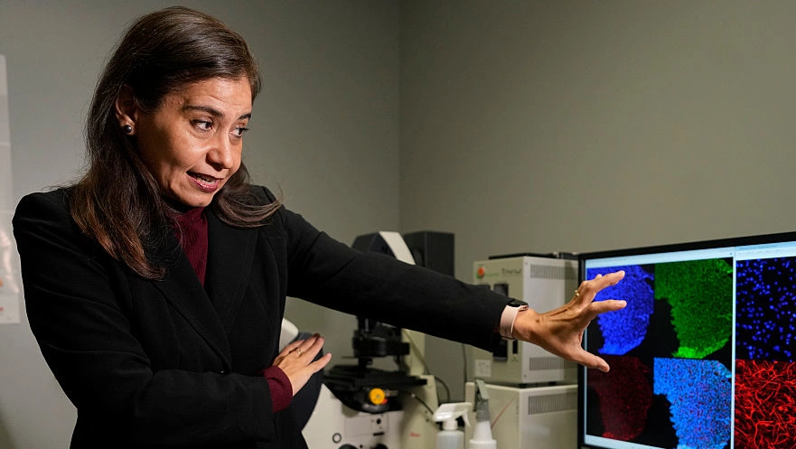 GABA supplements decoded for your mind and mood