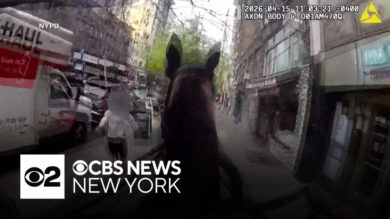 Mounted NYPD officer chases down alleged purse snatcher