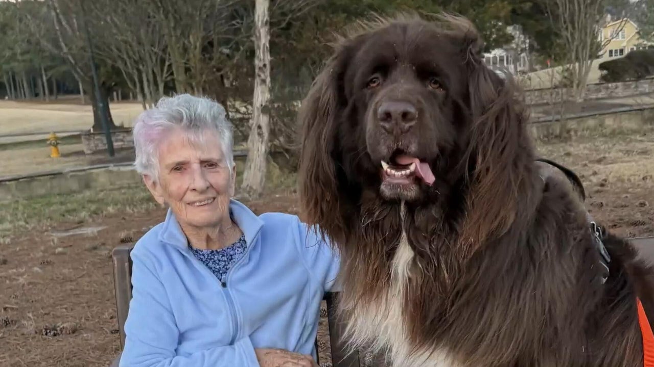 A bond between a grandmother and the dog next door