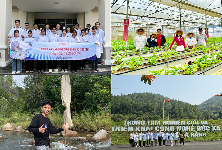 Sinh viên Duy Tân đạt giải về Sâm Ngọc Linh và Rau má