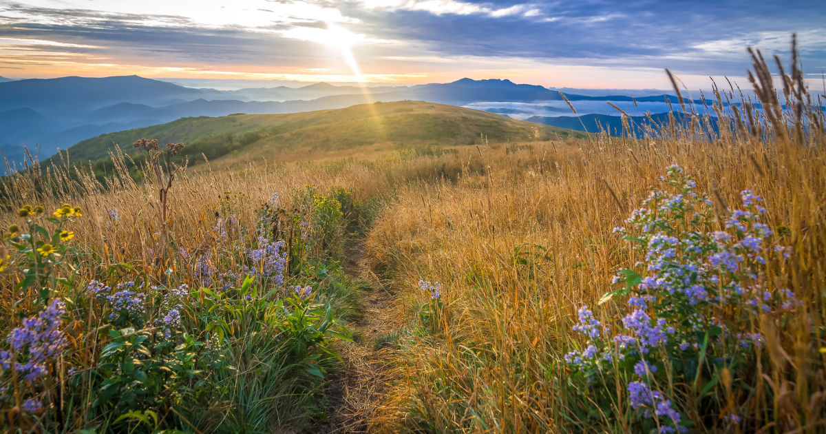 5 stunning spring hikes in North Carolina you'll want to try