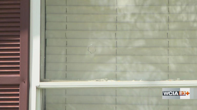 Champaign Co. Crime Stoppers seeking tips on April shooting